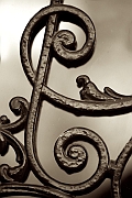 Wall_Art_Alphabet_Photography_Art_ 554